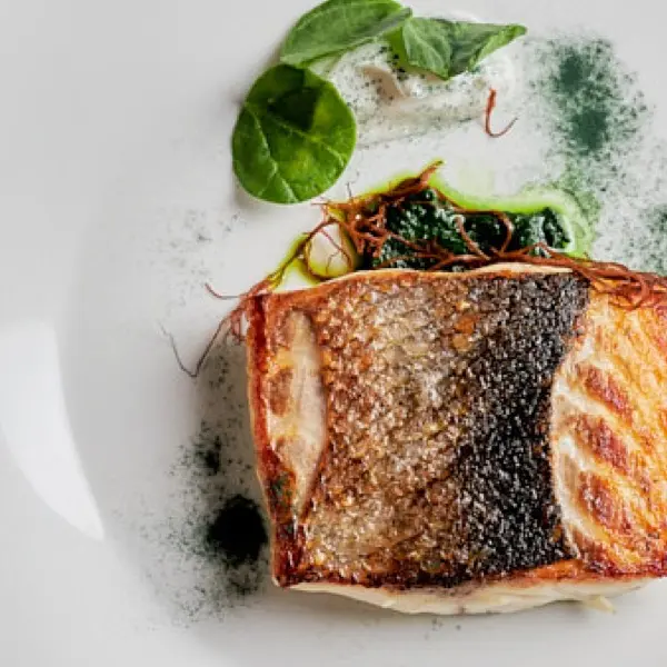 Fotografía de naturaleza