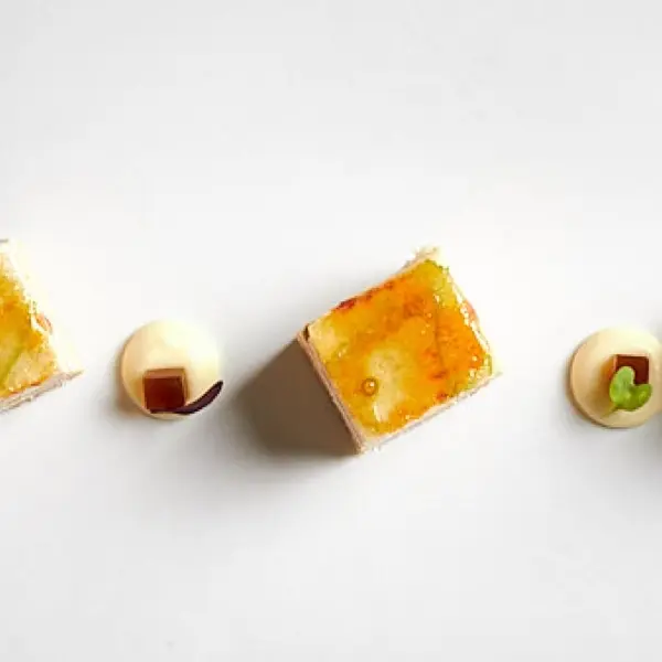 Fotografía de naturaleza