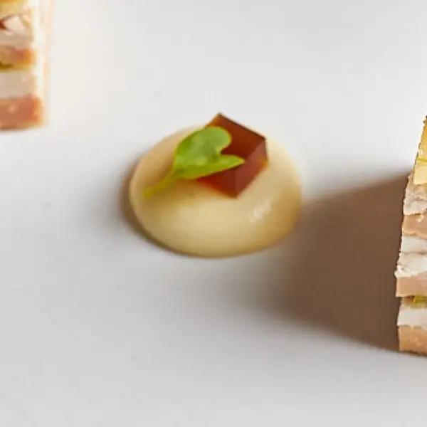 Fotografía de naturaleza